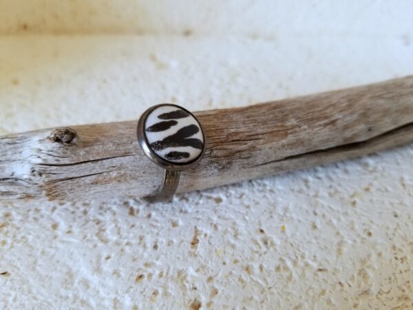 ANILLOS - Imagen 2